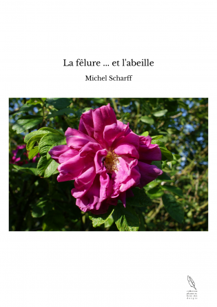 La fêlure ... et l'abeille