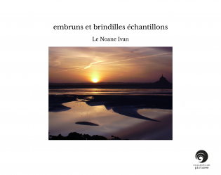 embruns et brindilles échantillons