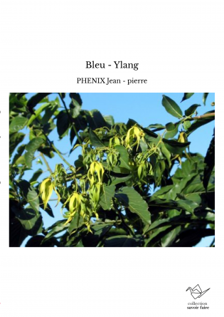 Bleu - Ylang