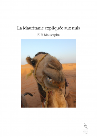 La Mauritanie expliquée aux nuls