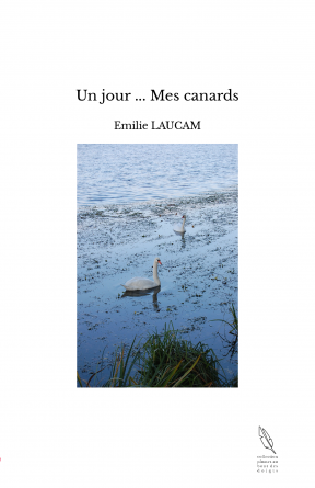 Un jour ... Mes canards