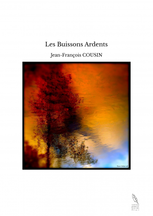 Les Buissons Ardents