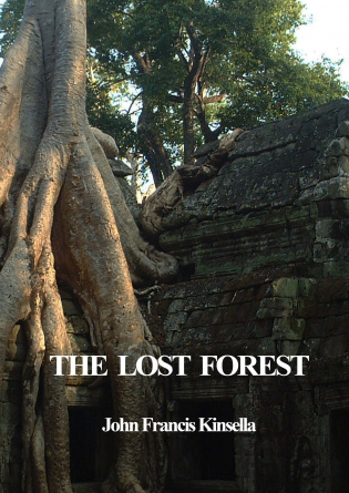 THE LOST FOREST