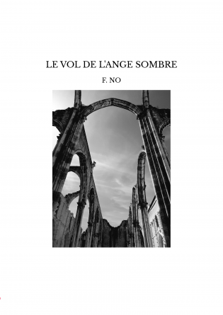 LE VOL DE L'ANGE SOMBRE