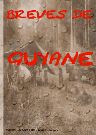 BREVES DE GUYANE