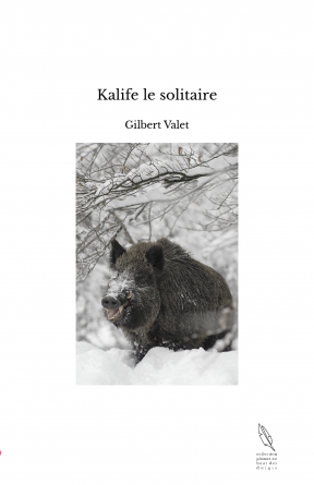 Kalife le solitaire