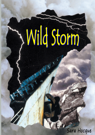 WILD STORM