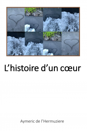 L'histoire d'un coeur