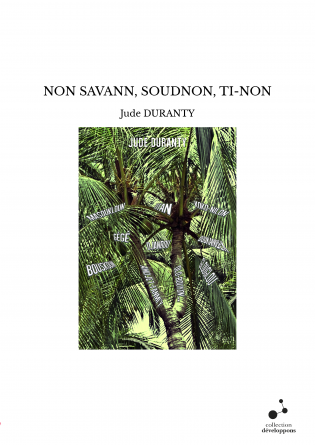 NON SAVANN, SOUDNON, TI-NON