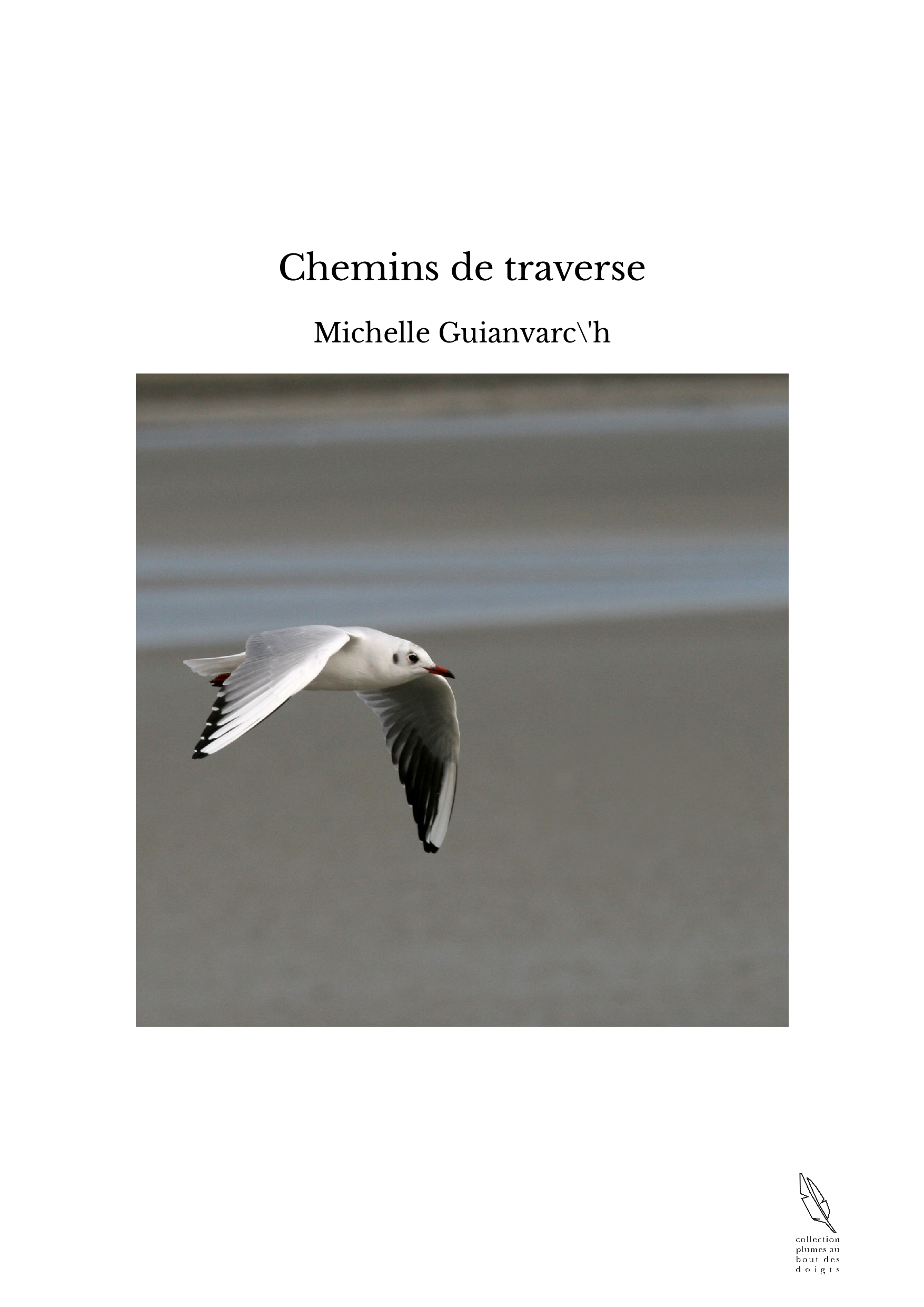 Chemins de traverse