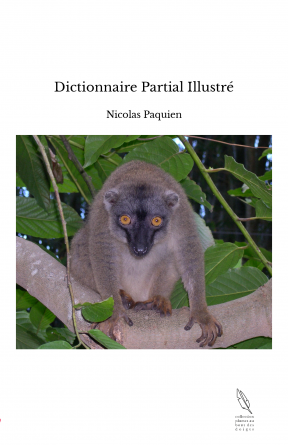 Dictionnaire Partial Illustré
