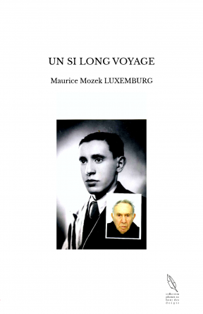 UN SI LONG VOYAGE