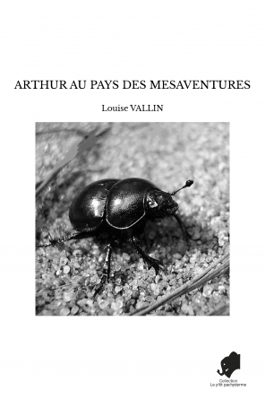 ARTHUR AU PAYS DES MESAVENTURES