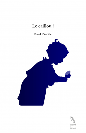 Le caillou !