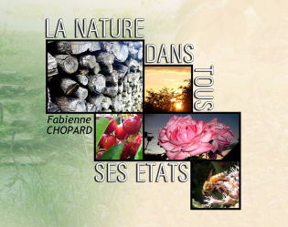 la nature dans tous ses états