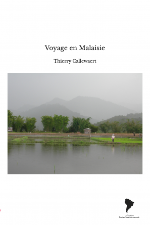 Voyage en Malaisie