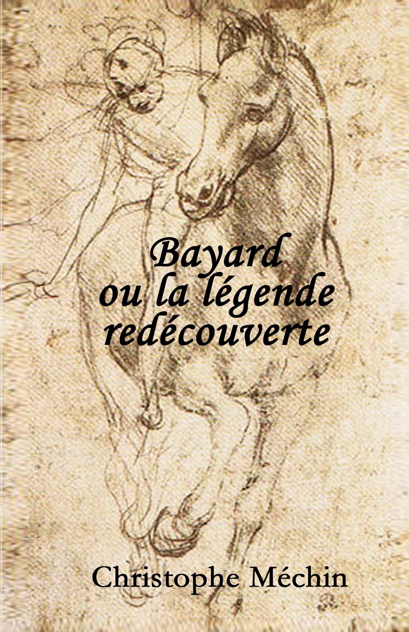 Bayard ou la légende redécouverte