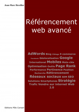 Référencement Web avancé