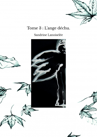 Tome 3 : L'ange déchu.