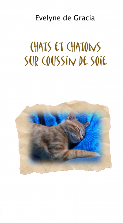 CHATS ET CHATONS SUR COUSSIN DE SOIE