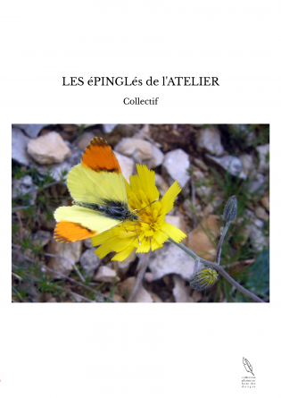 LES éPINGLés de l'ATELIER