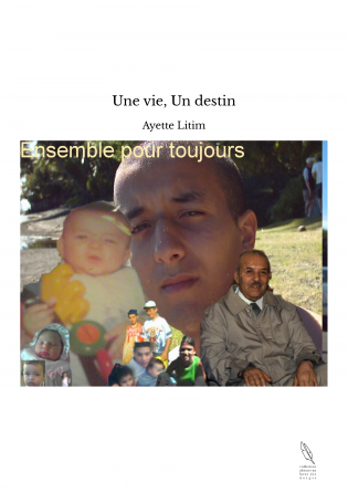 Une vie, Un destin