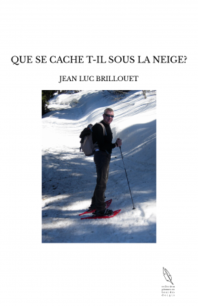 QUE SE CACHE T-IL SOUS LA NEIGE?