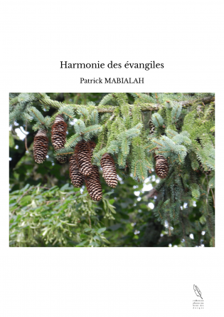 Harmonie des évangiles