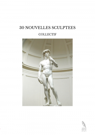 30 NOUVELLES SCULPTEES