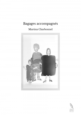 Bagages accompagnés