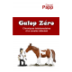 Galop Zéro