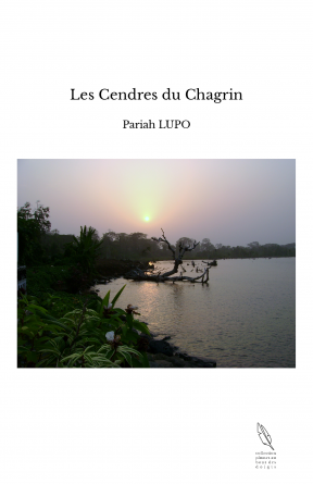 Les Cendres du Chagrin