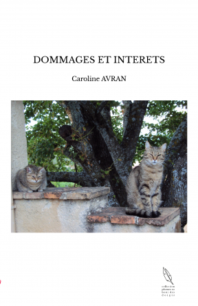 DOMMAGES ET INTERETS