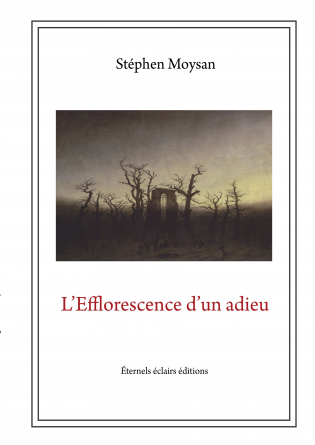 L'Efflorescence d'un adieu