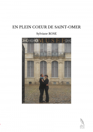 EN PLEIN COEUR DE SAINT-OMER