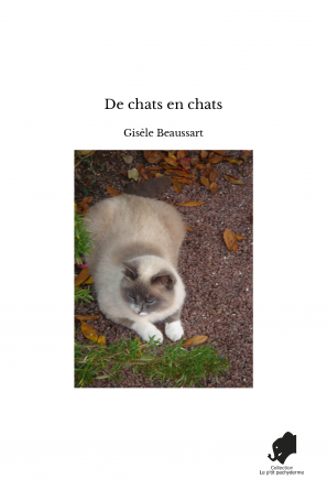 De chats en chats