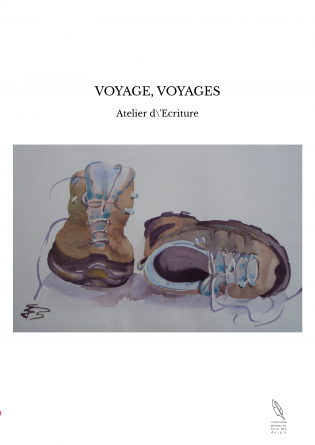 VOYAGE, VOYAGES