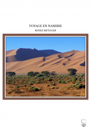 VOYAGE EN NAMIBIE