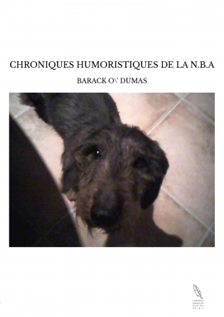 CHRONIQUES HUMORISTIQUES DE LA N.B.A