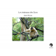 Les Animaux des Zoos