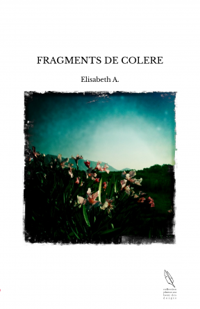 FRAGMENTS DE COLERE