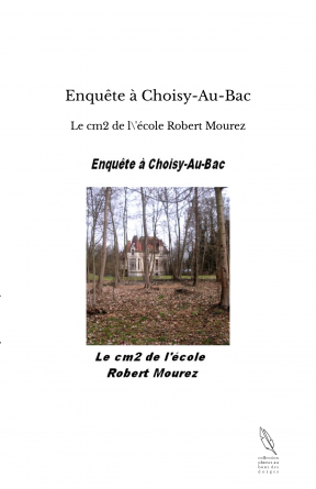 Enquête à Choisy-Au-Bac