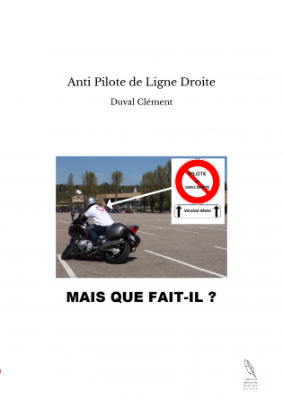 Anti Pilote de Ligne Droite