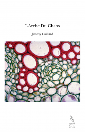 L'Arche Du Chaos