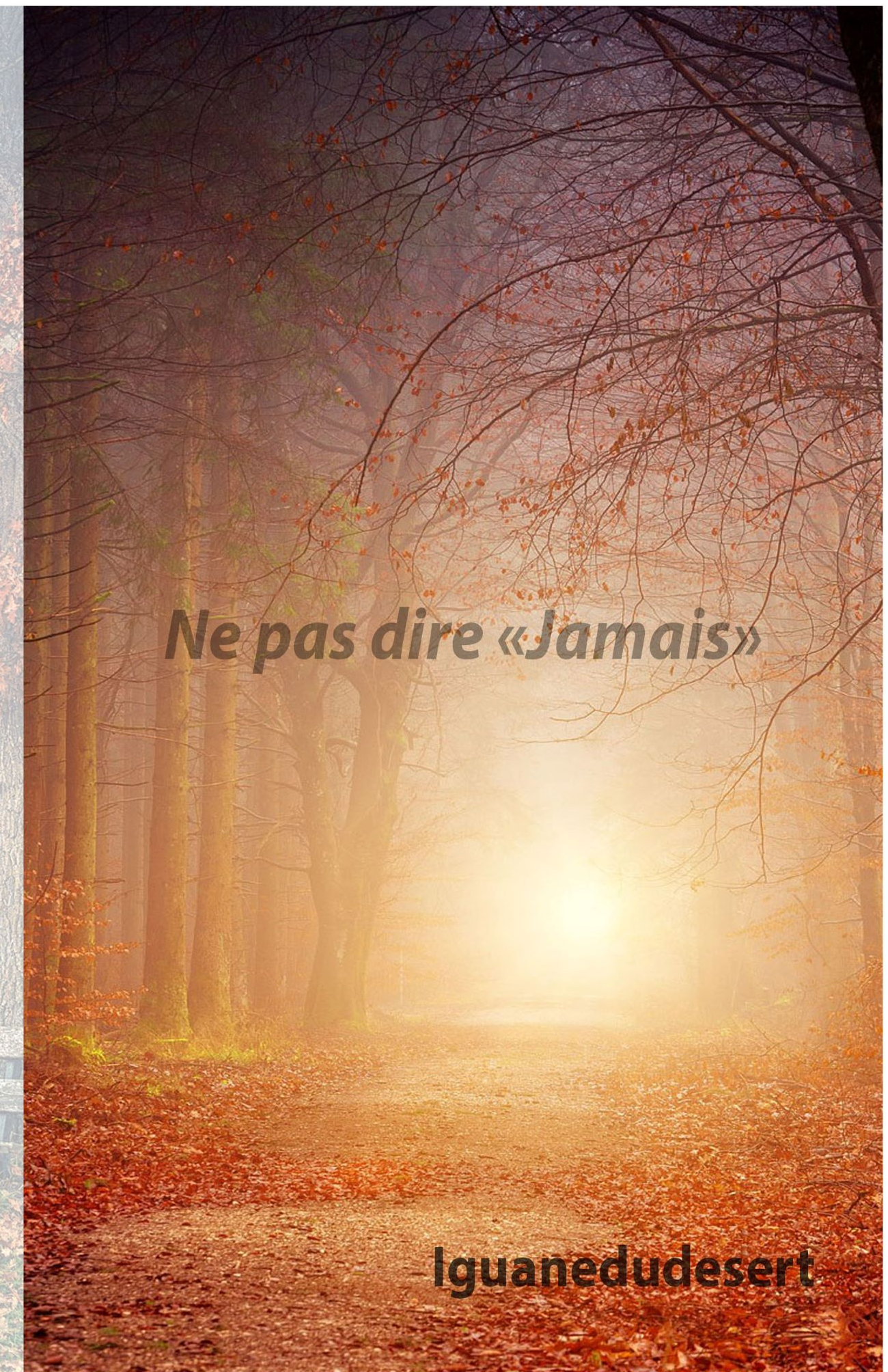 Ne pas dire "jamais"
