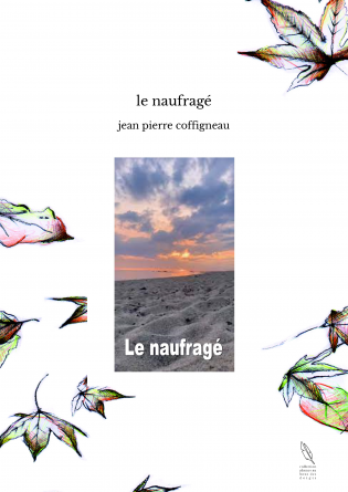 le naufragé