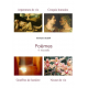 Poèmes complets, 4 recueils