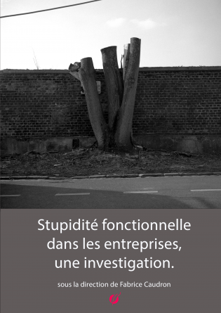 Stupidité fonctionnelle, investigation