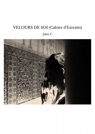 VELOURS DE SOI (Cahier d'Extraits)