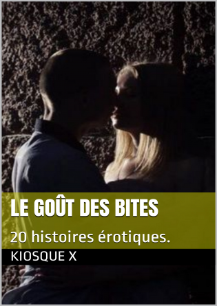  LE GOÛT DES BITES